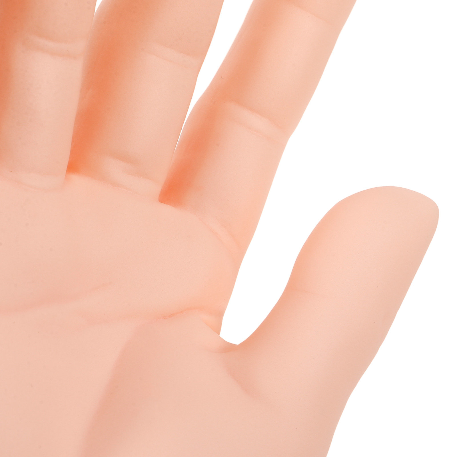 Male Hand Mannequin Realistic  - Jewelry For Watches review and price
